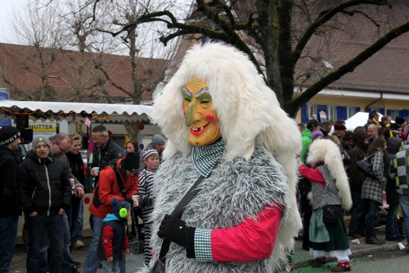 Sarmenstorf Fasnachtsumzug 16.02.2014 (18)
